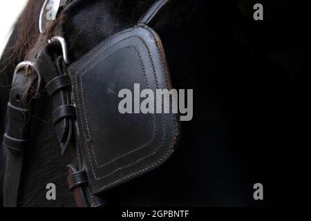 Détail de la tête d'un cheval Friésien avec des blinkers en cuir. Les œillères veillent à ce que les chevaux ne soient pas surpris par ce qu'ils voient se produire autour d'eux Banque D'Images