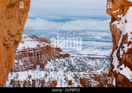 Tempête de neige dans le canyon de Bryce, Utah, États-Unis Banque D'Images