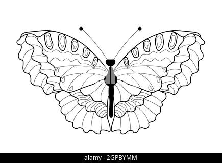 Livre de coloriage aux papillons. Dessin linéaire d'un papillon. Banque D'Images