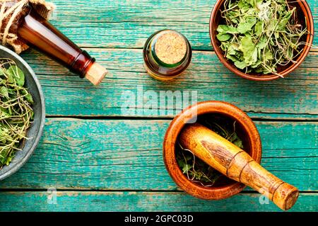 Mortier avec un pilon avec une orthilia secunda médicinale sèche.herbes médicinales dans la médecine de fines herbes. Banque D'Images