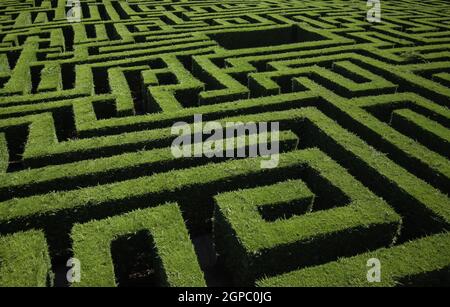 Détail labyrinthe dans une forêt, jeu et amusement Banque D'Images