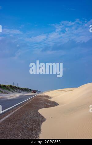 Des dunes de sable mouvantes bordent Ocean Boulevard au nord de South Padre Island, TX. Banque D'Images