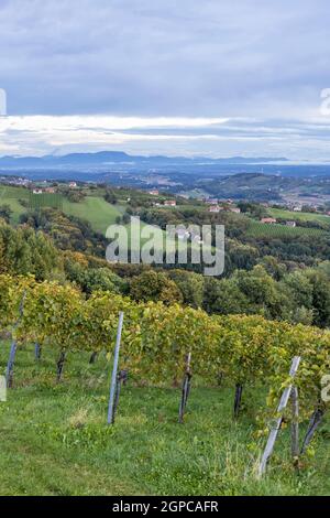 Les plus hauts vignobles d'Autriche près du village Kitzeck im Sausal, Styrie, Autriche Banque D'Images