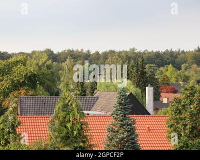 Toits dans une petite ville rurale entourée d'arbres dans une forêt verte. Banque D'Images