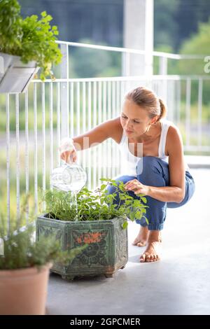 Jolie, jeune femme arrosant des herbes, elle grandit sur son balcon. Banque D'Images