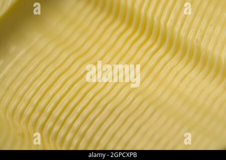 Motif ondulé dans le beurre créé par un couteau à beurre dentelé. Fond de texture alimentaire abstrait plein format, pris comme un super macro gros plan. Banque D'Images