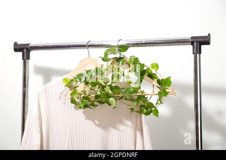 Cintre à vêtements avec plante verte accrochée sur un mur blanc. Banque D'Images