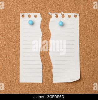 feuille de papier blanc déchirée dans une ligne accrochée à un panneau de liège marron, gros plan Banque D'Images