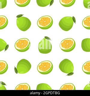 Illustration sur le thème grand couleur sans couture pomelo Illustration de Vecteur