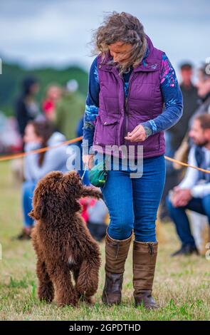 Un chien dans un anneau de spectacle à un spectacle de campagne avec une femme de maître Banque D'Images