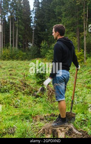 le concept de plantation d'arbres. jeune homme prend des chênes en main prêts à planter dans la forêt Banque D'Images