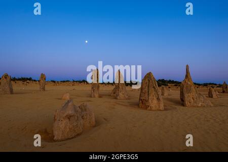 Paysage de lune étrange au Pinnacles Desert, une attraction touristique populaire, le parc national de Nambung, Cervantes, Australie occidentale, Australie Banque D'Images