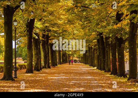 Automne à Lucques. Vue sur les murs anciens du parc public avec des feuilles d'automne Banque D'Images