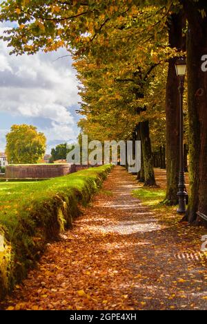 Automne à Lucques. Vue sur les murs anciens du parc public avec des feuilles d'automne Banque D'Images