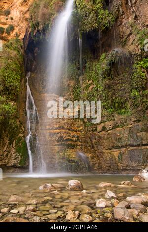 Ein Gedi sources d'eau douce, dans le désert de judée, Israël, la chute d'eau inférieure de Wadi David Banque D'Images