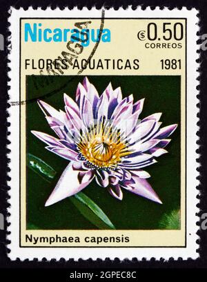 NICARAGUA - VERS 1981 : un timbre imprimé au Nicaragua montre le Lys d'eau du Cap, Nymphea capensis, fleur aquatique, vers 1981 Banque D'Images