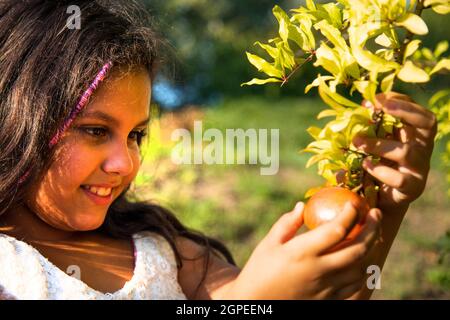 Belle fille gitane avec de longs cheveux noirs et robe blanche avec des fruits grenade Banque D'Images