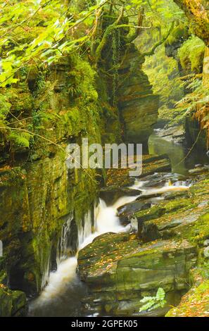 Cascade de ravin de la rivière Cynfal. Banque D'Images