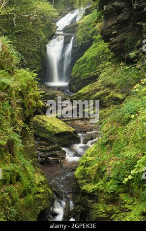 Cascade de ravin de la rivière Cynfal. Banque D'Images