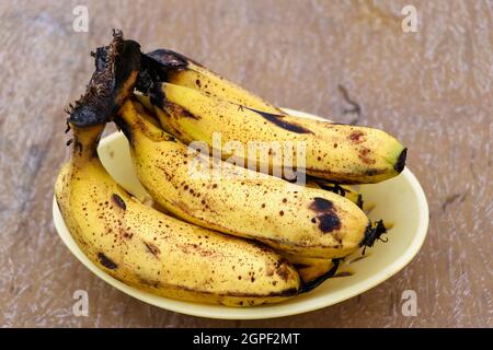 Les bananes jaunes mûrs fruits, bande de bananes mûres avec des points sombres Banque D'Images
