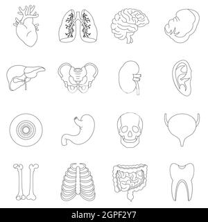 Les organes de l'ensemble des icônes de style du contour, Illustration de Vecteur