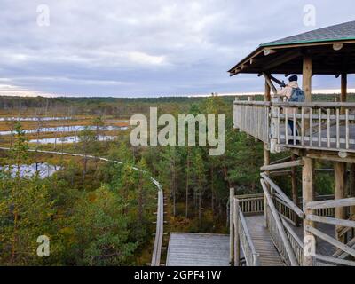 Tour en bois point de vue dans marécage ou tourbière, Viru raba, Estonie Banque D'Images