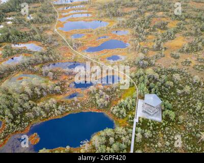 Tour en bois point de vue dans marécage ou tourbière, Viru raba, Estonie. Vue aérienne de drone Banque D'Images