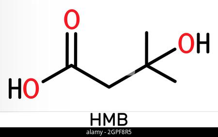 Acide bêta-hydroxy-bêta-méthylbutyrique, HMB, molécule d'acide bêta-hydroxyisovalère. Il est indicateur d'une carence en biotine, métabolite de la leucine. CH. Squelette Banque D'Images