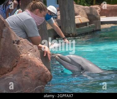 Orlando, Floride. 28 septembre 2021. Rencontre avec les dauphins en pépinière à SeaWorld (26) Banque D'Images