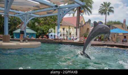 Orlando, Floride. 28 septembre 2021. Rencontre avec les dauphins en pépinière à SeaWorld (27) Banque D'Images