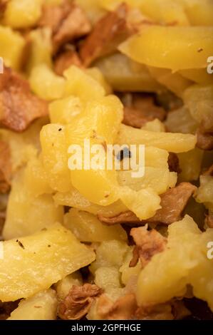 Pommes de terre poêlées aux champignons, gros plan, mise au point sélective. Un plat traditionnel de village Banque D'Images