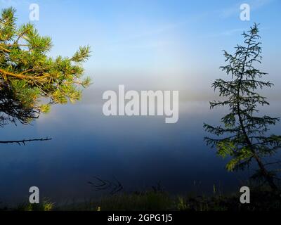 Vue sur la rivière de montagne dans le brouillard tôt le matin. Paysage d'été. Banque D'Images