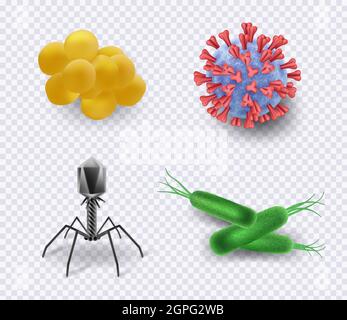 Virus. Biologie infection bactéries cellules bacillus ncov microorganisme vecteur science collection réaliste de symboles Illustration de Vecteur