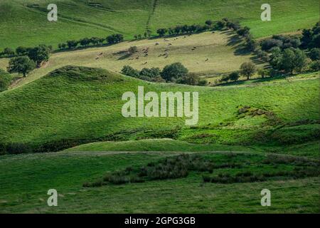 Robins Tump, un monticule funéraire de l'âge de bronze sous Caer Caradoc Hill dans les collines de Shropshire près de Church Stretton. Banque D'Images