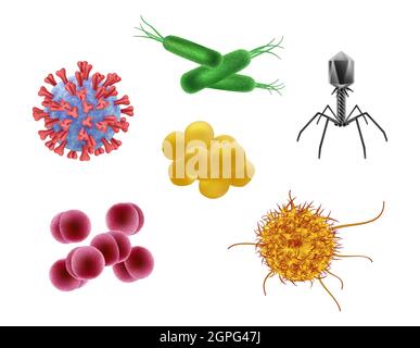 Microbes réalistes. Cellules biologiques différents virus de la grippe illustration vectorielle du micro-organisme Illustration de Vecteur