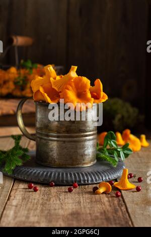 Chanterelles de champignons dans un bol rétro en fer et mousse de forêt sur un vieux fond en bois. Maquette. Vue de dessus. Banque D'Images