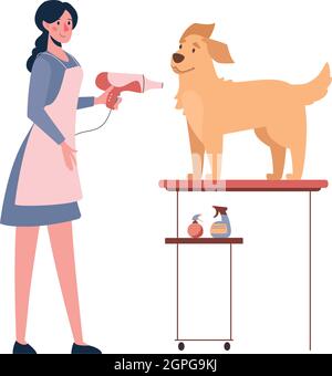La femme sèche le chien avec un sèche-cheveux. Toilettage pour chiens. Illustration vectorielle isolée sur fond blanc. Style de dessin animé Illustration de Vecteur
