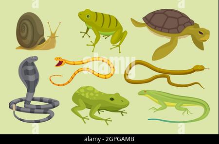 Ensemble de reptiles. Tortues de serpent de lézard escargot dessin animé vecteur animaux sauvages Illustration de Vecteur