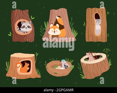 Animaux creux. Les arbres de forêt de bois avec des trous pour les animaux sauvages abrite la collection de dessins animés vectoriels Illustration de Vecteur