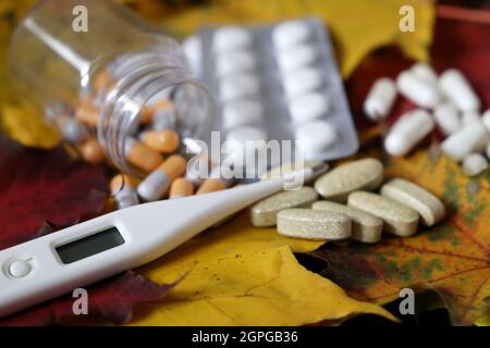 Pilules et thermomètre numérique sur feuilles d'érable jaunes et rouges, bouteille de capsules et blister de comprimés. Concept d'antipyrétique, vitamines Banque D'Images