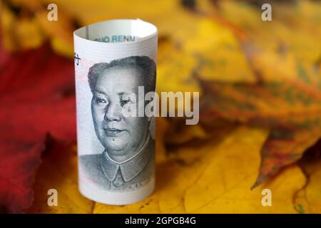 Billet de yuan chinois sur les feuilles d'érable. Concept d'économie de la Chine en automne, tourisme et investissement Banque D'Images