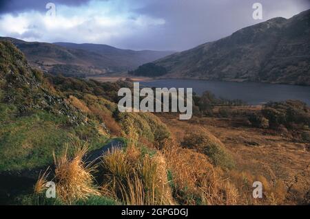Écosse. Galloway. Newton Stewart. Loch Trool. Banque D'Images
