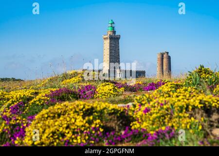 France, Côtes d'Armor, Plevenon, Grand site de France Cap d'Erquy - Cap Frehel, phare du Cap Frehel (1950) et phare Vauban (1702) le long du sentier de randonnée ou du sentier de douane GR 34 Banque D'Images