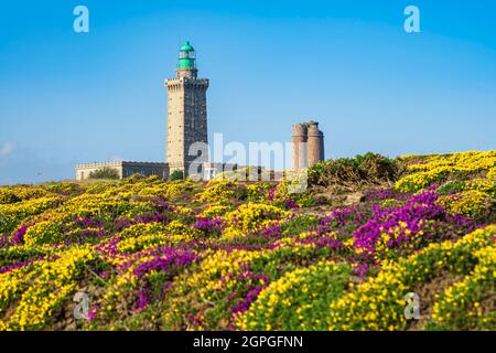 France, Côtes d'Armor, Plevenon, Grand site de France Cap d'Erquy - Cap Frehel, phare du Cap Frehel (1950) et phare Vauban (1702) le long du sentier de randonnée ou du sentier de douane GR 34 Banque D'Images