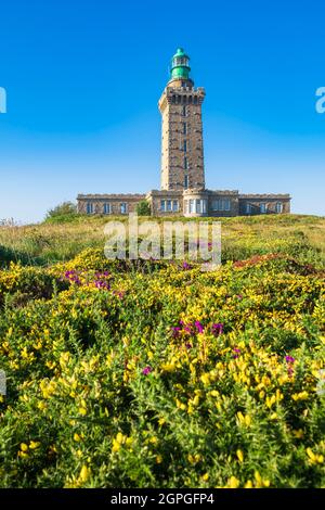 France, Côtes d'Armor, Plevenon, Grand site de France Cap d'Erquy - Cap Frehel, phare du Cap Frehel (1950) le long du sentier de randonnée ou du sentier de douane GR 34 Banque D'Images