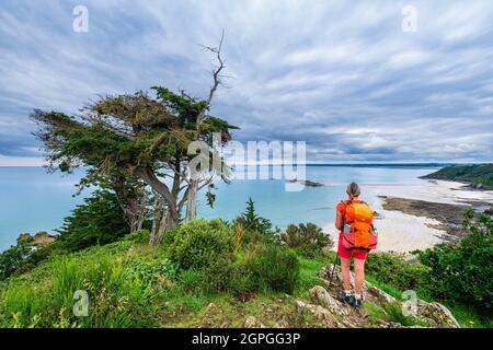 France, Côtes d'Armor, Plerin, randonnée le long du sentier de randonnée GR 34 ou du sentier de douane, la crique de Martin Plage vue de la Pointe des Tablettes Banque D'Images