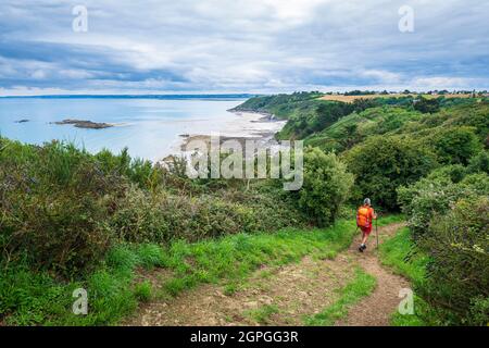 France, Côtes d'Armor, Plerin, randonnée le long du sentier de randonnée GR 34 ou du sentier de douane, la crique de Martin Plage en arrière-plan Banque D'Images