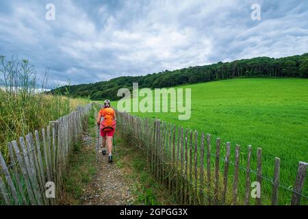 France, Côtes d'Armor, Plerin, randonnée le long du sentier de randonnée GR 34 ou du sentier des douanes Banque D'Images