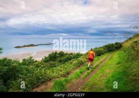 France, Côtes d'Armor, Plerin, randonnée le long du sentier de randonnée GR 34 ou du sentier des douanes, Martin Plage crique et Rocher Martin en arrière-plan Banque D'Images