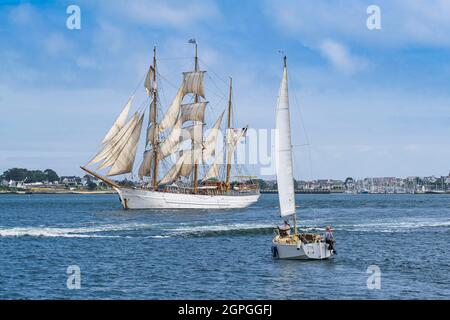 France, Morbihan, Lorient, voilier le Français (ex-Kaskelot), barque à trois mâts avec coque en bois construite au Danemark en 1948 Banque D'Images